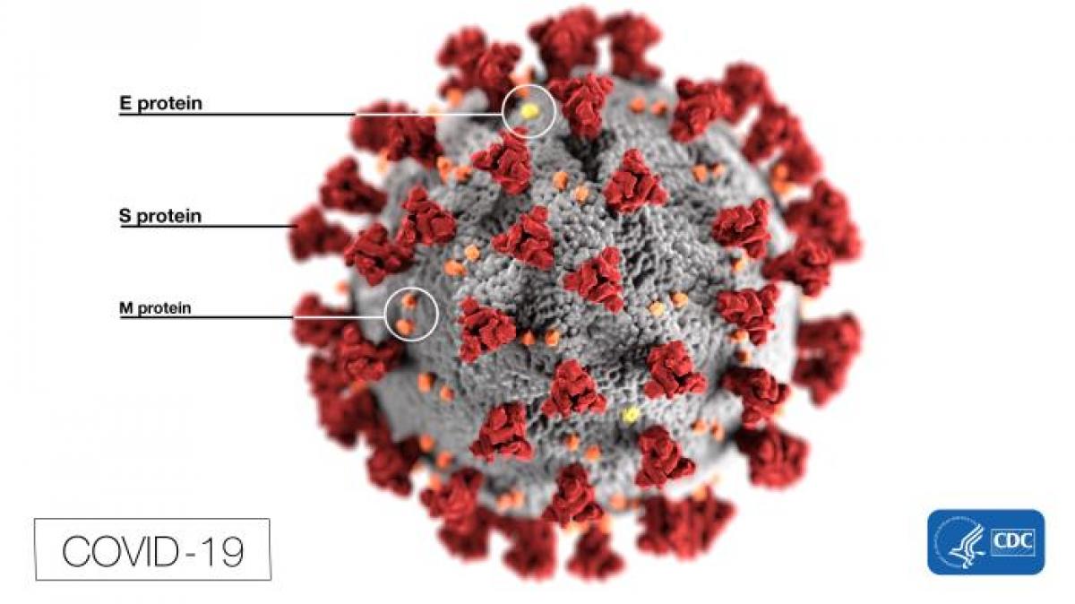 Coronavirus